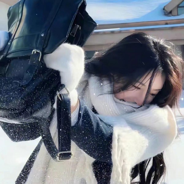 金刚归来